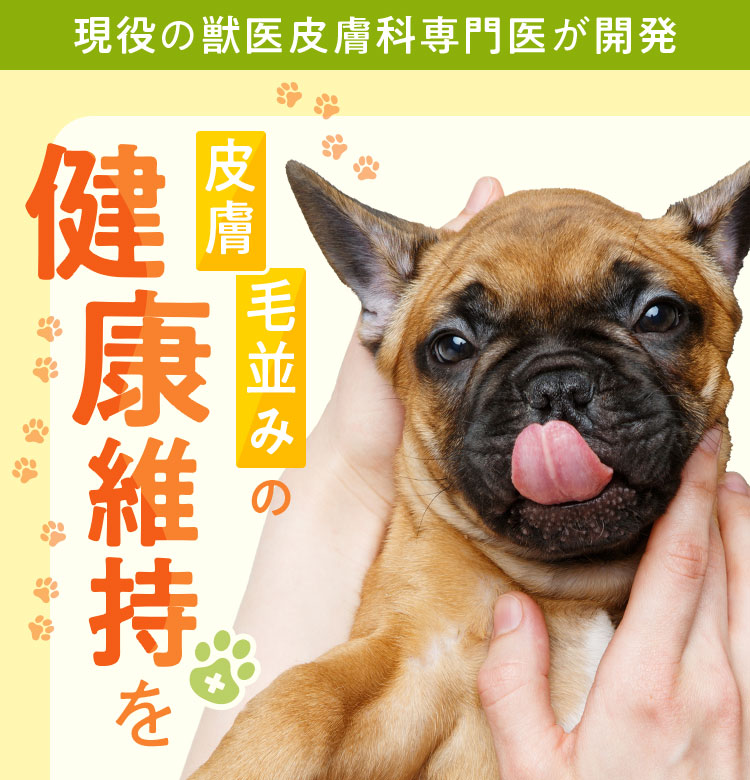 【新品】犬用サプリ ファイナルアンサー hbniVAhCO4bLB3PDj7Ko5JFpWzQ85C