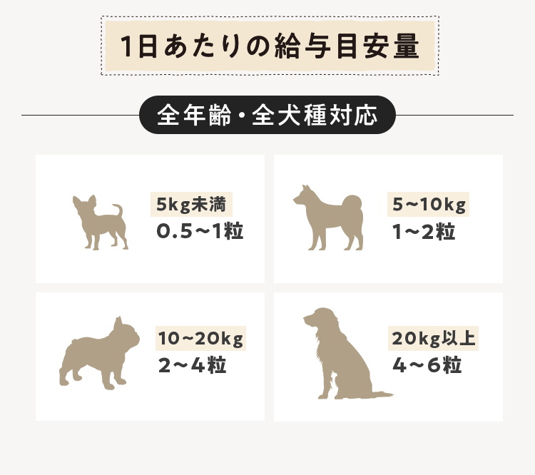 全年齢・全犬種対応