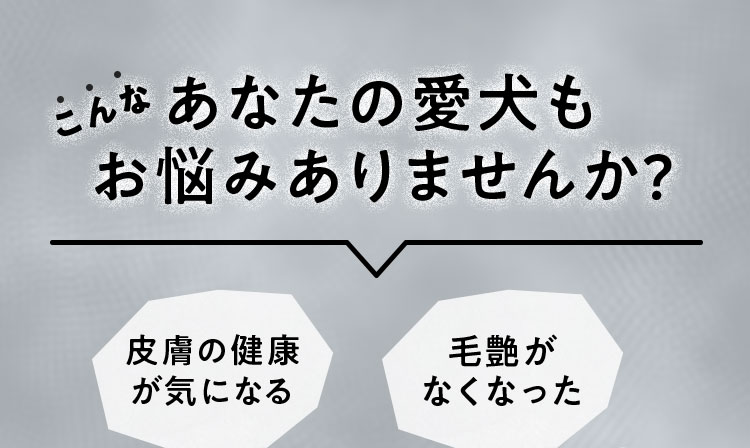 あなたの愛犬もお悩みありませんか?