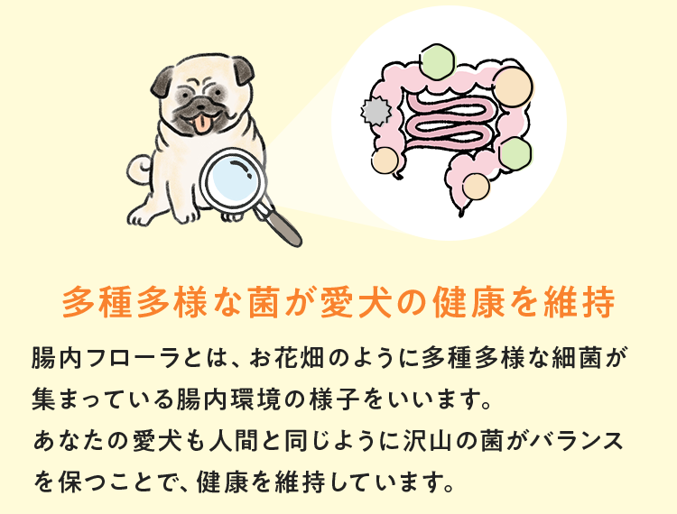 犬用腸活サプリ FINAL ANSWER No.1