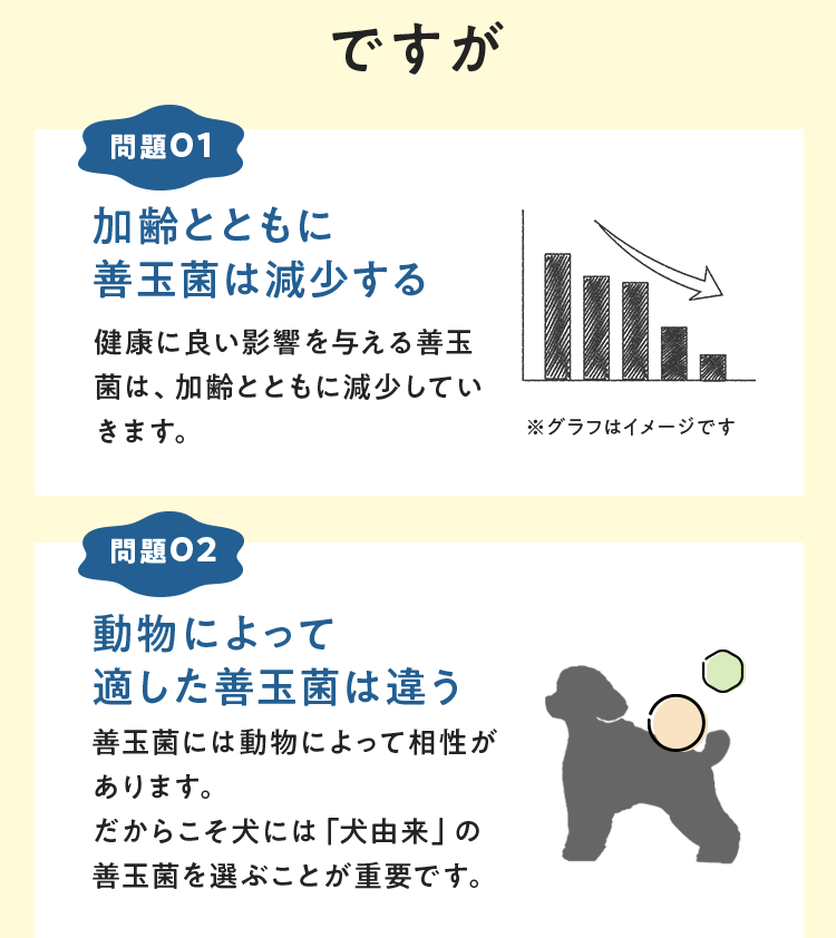 加齢とともに善玉菌は減少する
