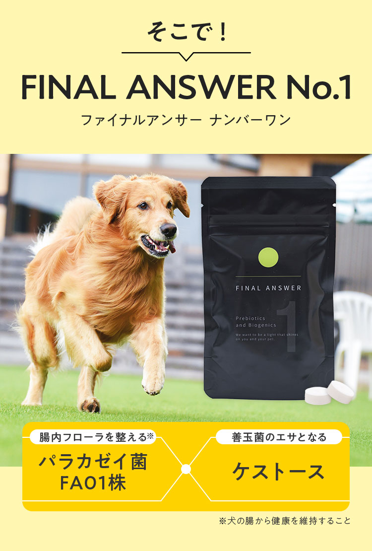 【新品】犬用サプリ ファイナルアンサー hbniVAhCO4bLB3PDj7Ko5JFpWzQ85C