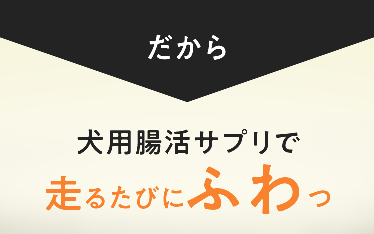 犬用腸活サプリで走るたびにふわつ