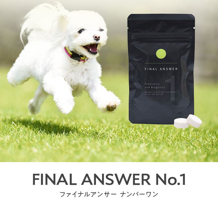 ファイナルアンサー ナンバーワン