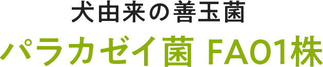 犬由来の善玉菌パラカゼイ菌 FA01株