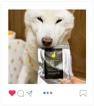 犬用腸活サプリ FINAL ANSWER No.1