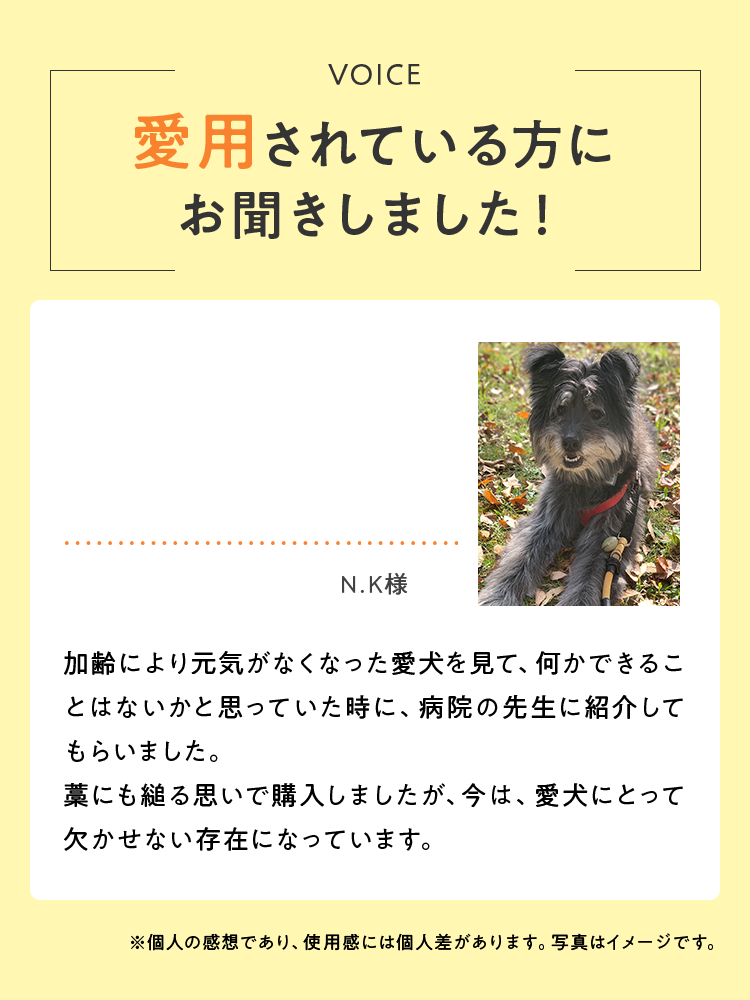 愛用されている方にお聞きしました！