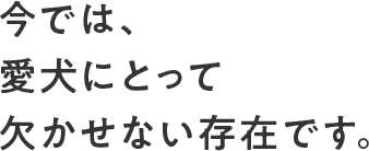 今では、愛犬にとって欠かせない存在です。