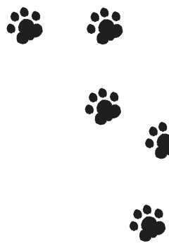 犬の足跡