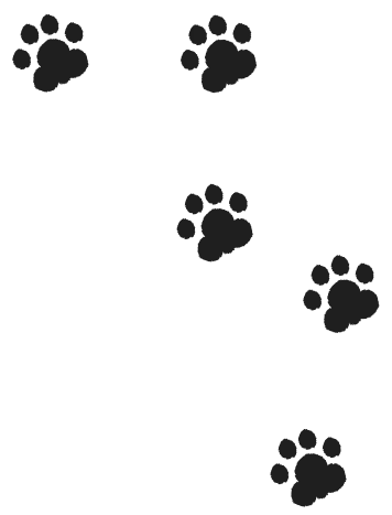 犬の足跡