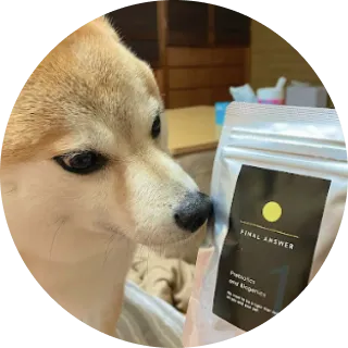 犬と商品が写っている画像