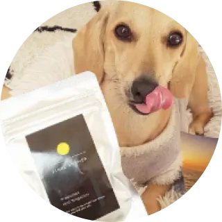 犬と商品が写っている画像