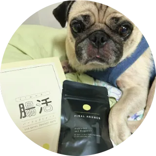 犬と商品が写っている画像