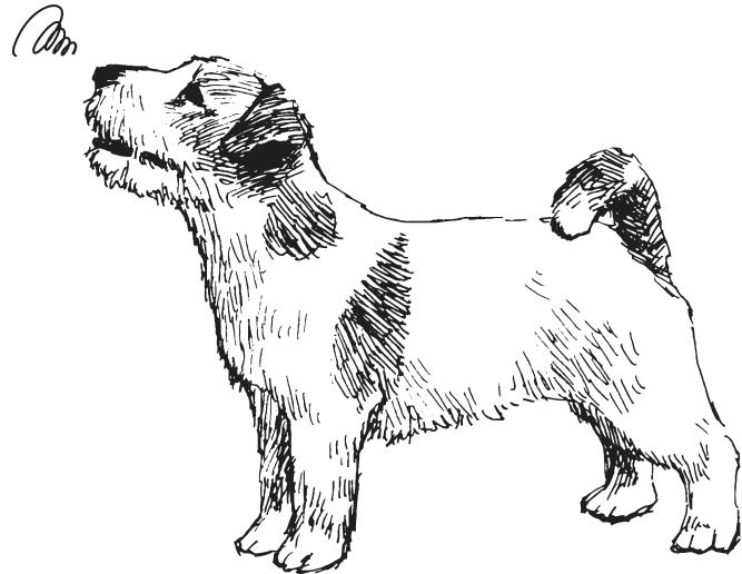 犬のイラスト