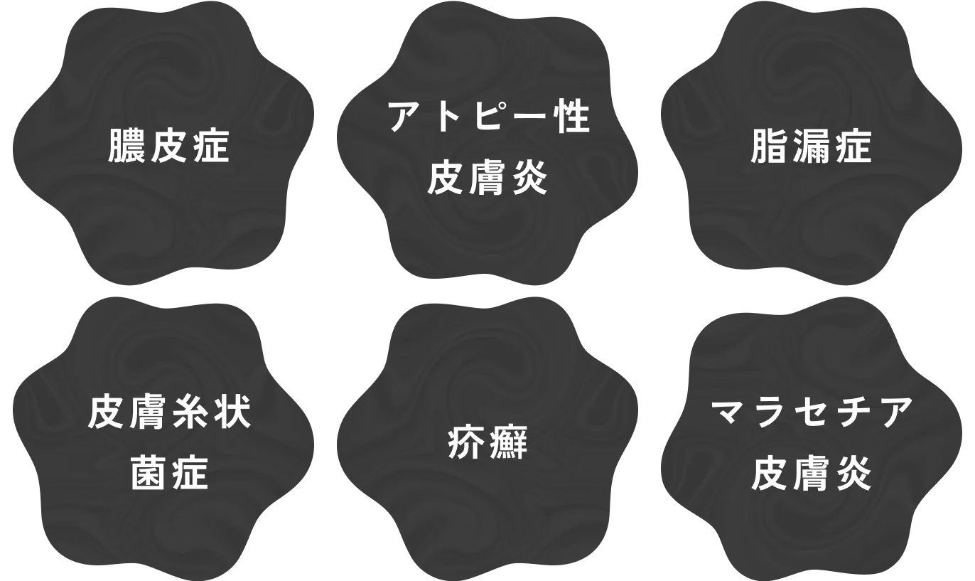 膿皮症・アトピー性皮膚炎・脂漏症・皮膚糸状菌症・疥癬・マラセチア皮膚炎