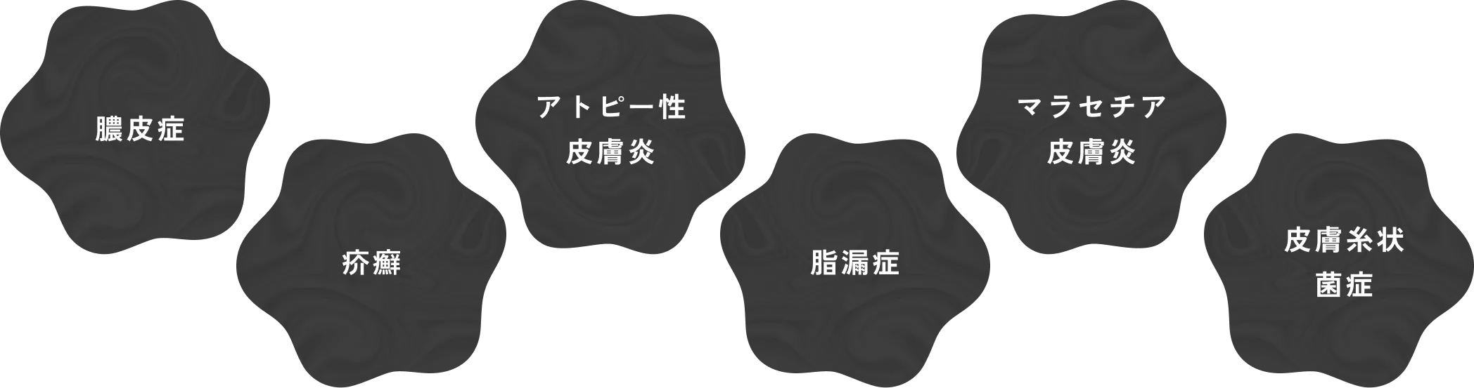 膿皮症・アトピー性皮膚炎・脂漏症・皮膚糸状菌症・疥癬・マラセチア皮膚炎