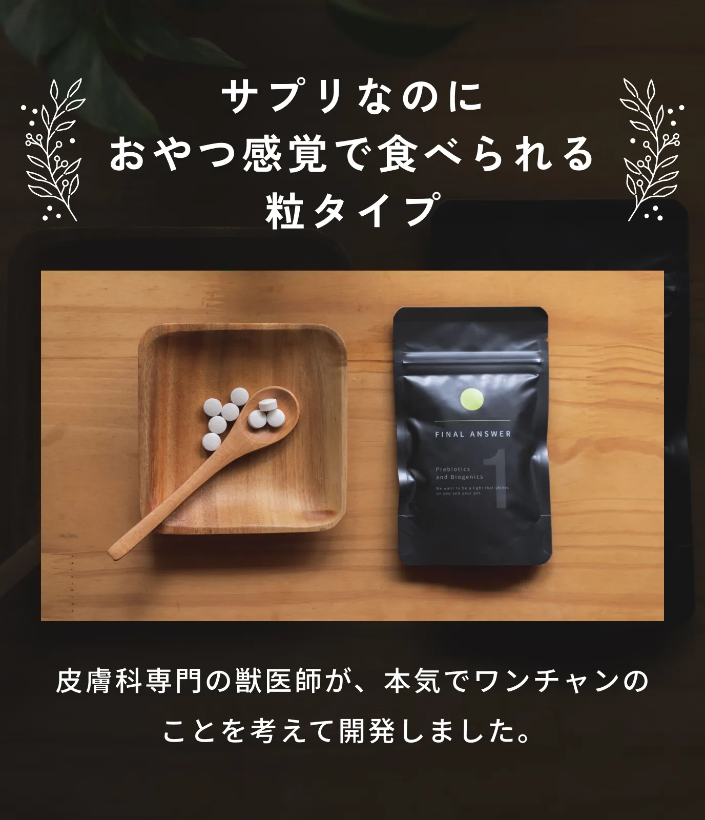 サプリなのにおやつ感覚で食べられる粒タイプ。皮膚科専門の獣医師が、本気でワンチャンのことを考えて開発しました。