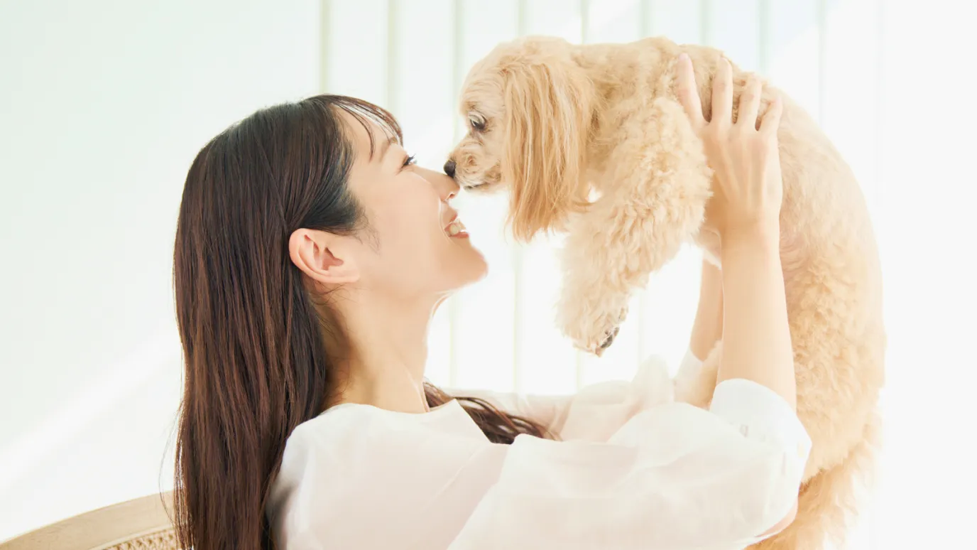 犬と飼い主との画像
