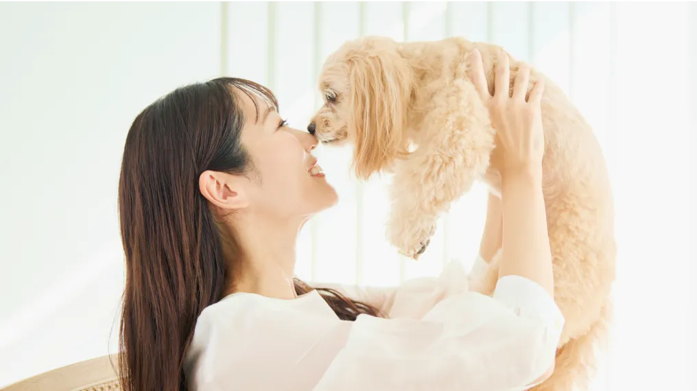 犬と飼い主との画像