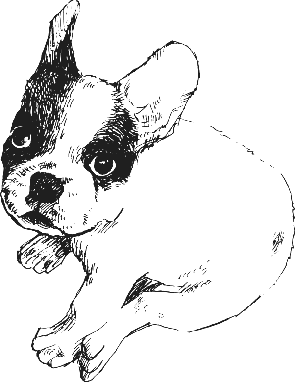 犬のイラスト