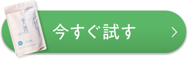 今すぐ試す