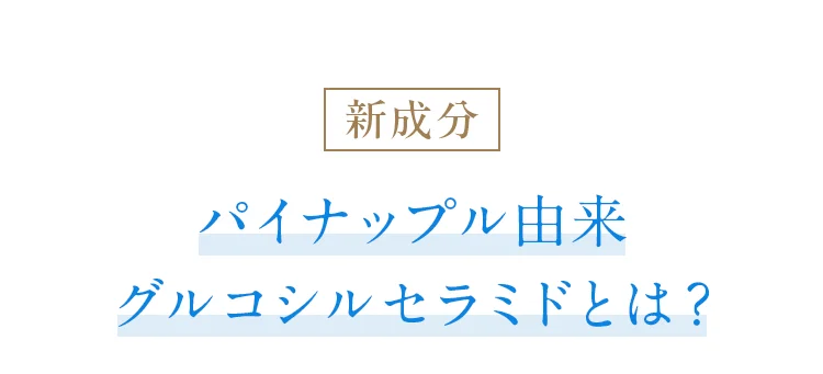 about-new-ceramide01