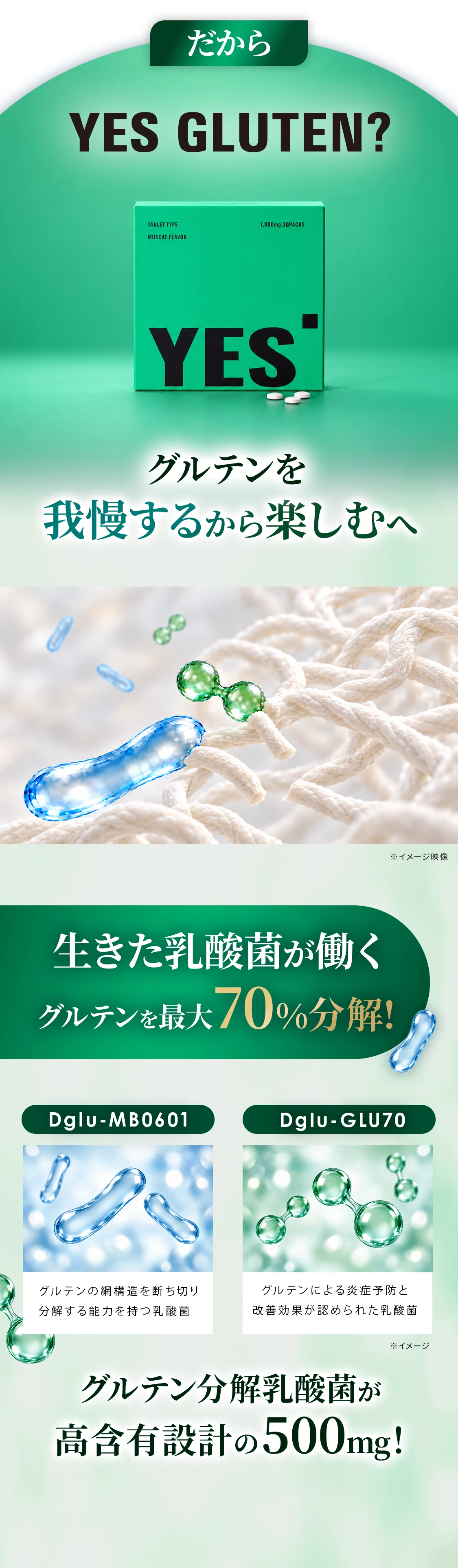 商品登場セクション02_調整 1