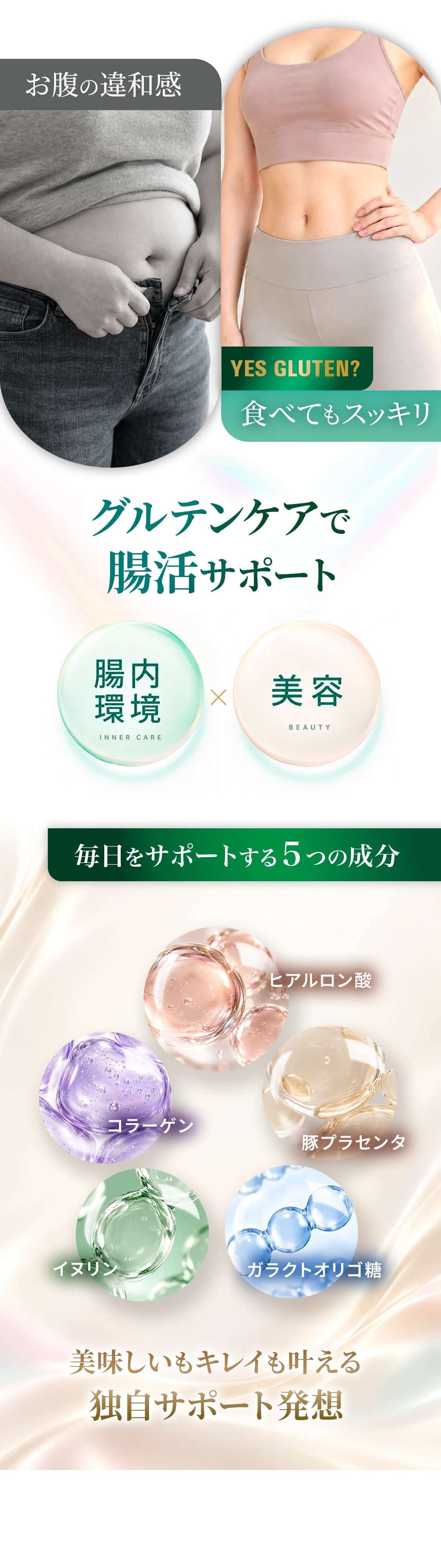 商品登場セクション03_調整 1