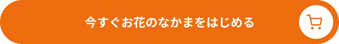 申し込む