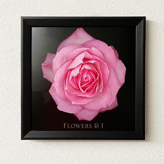 Flower No.02