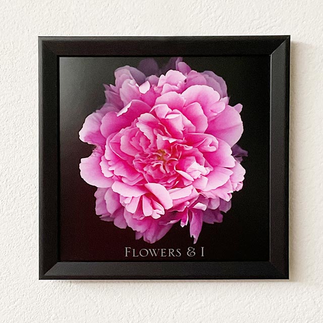 Flower No.05