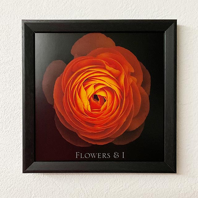 Flower No.01