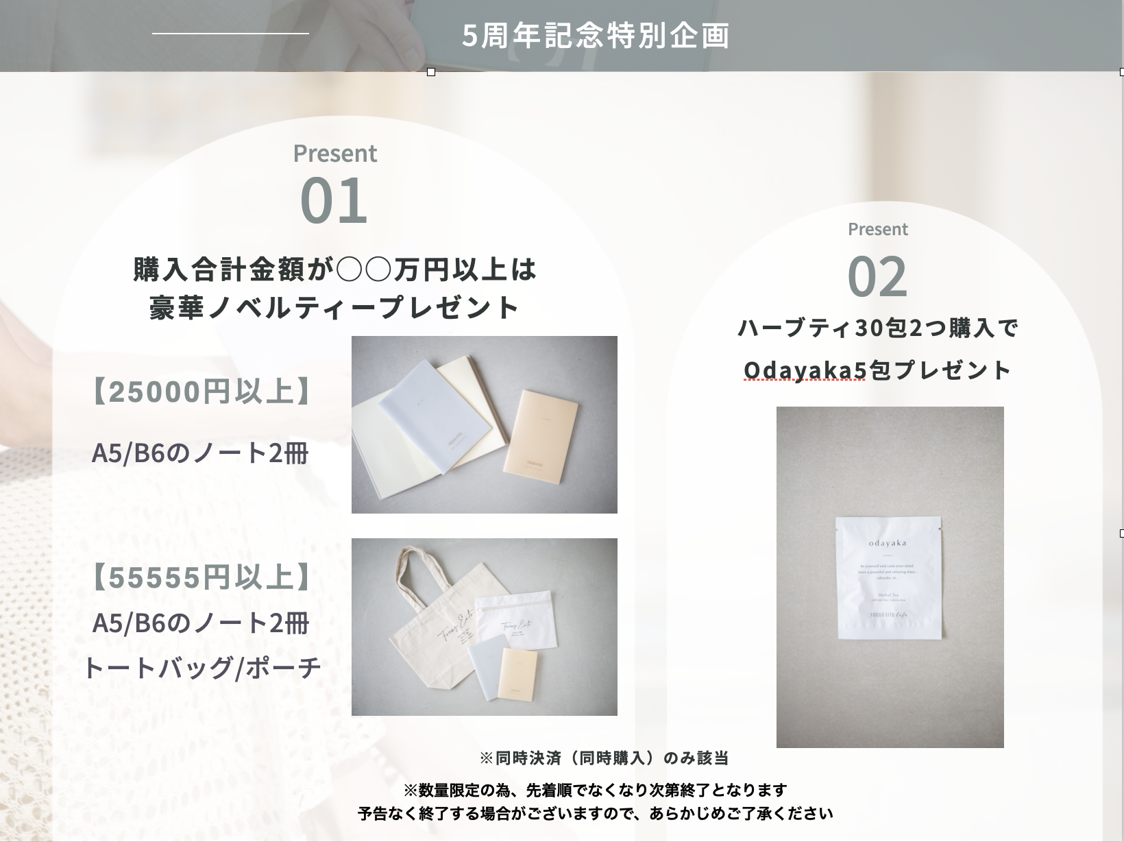 2026FOCUSEiTO販売のお知らせ