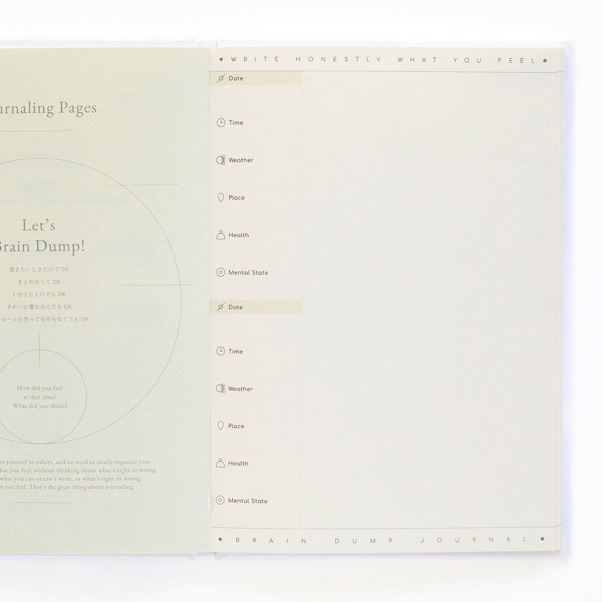 BRAIN DUMP JOURNAL『umi』