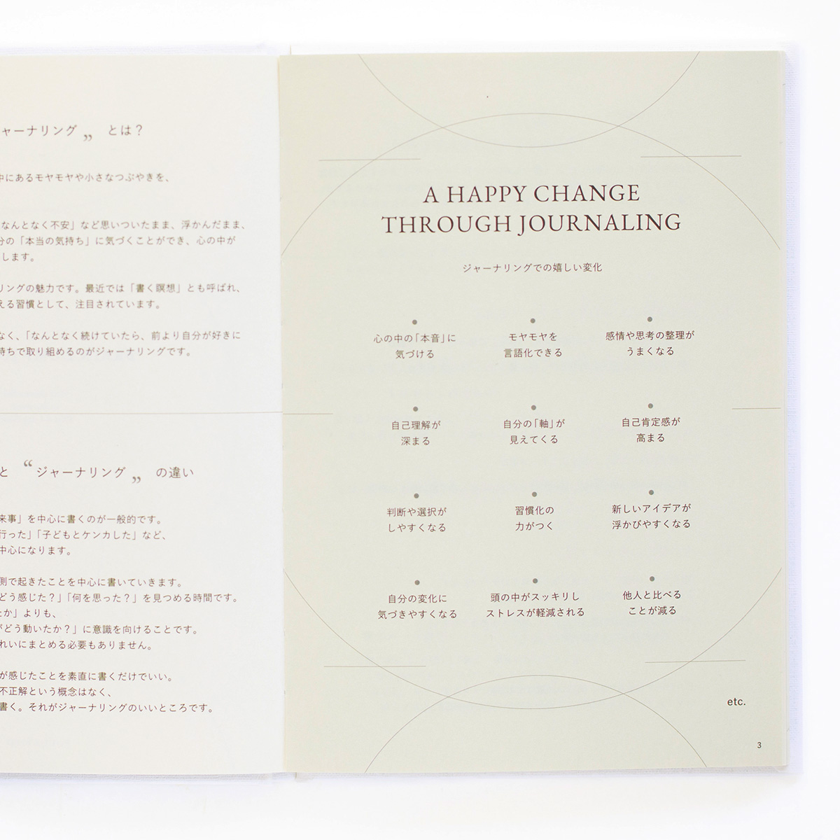 BRAIN DUMP JOURNAL『daichi』