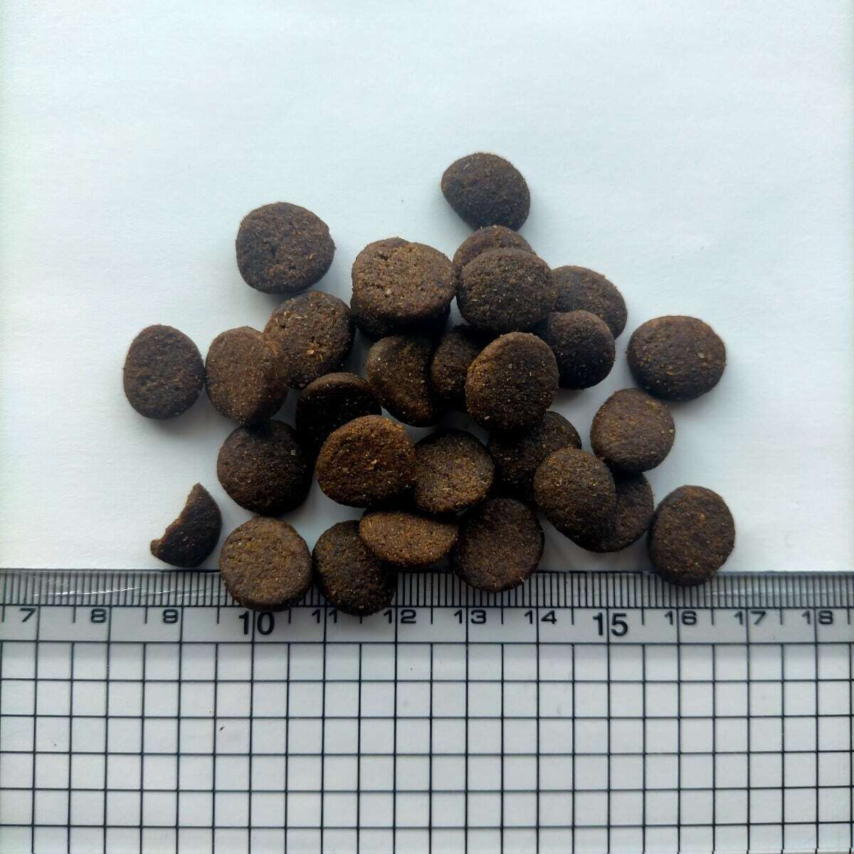 【12/26(金) 発送予定】 プライマル