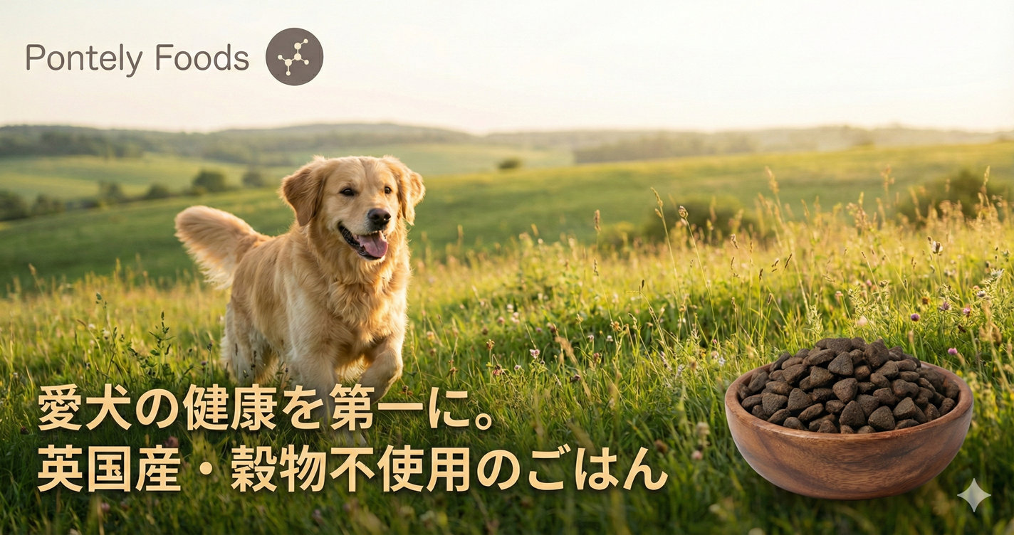 クラーノについて