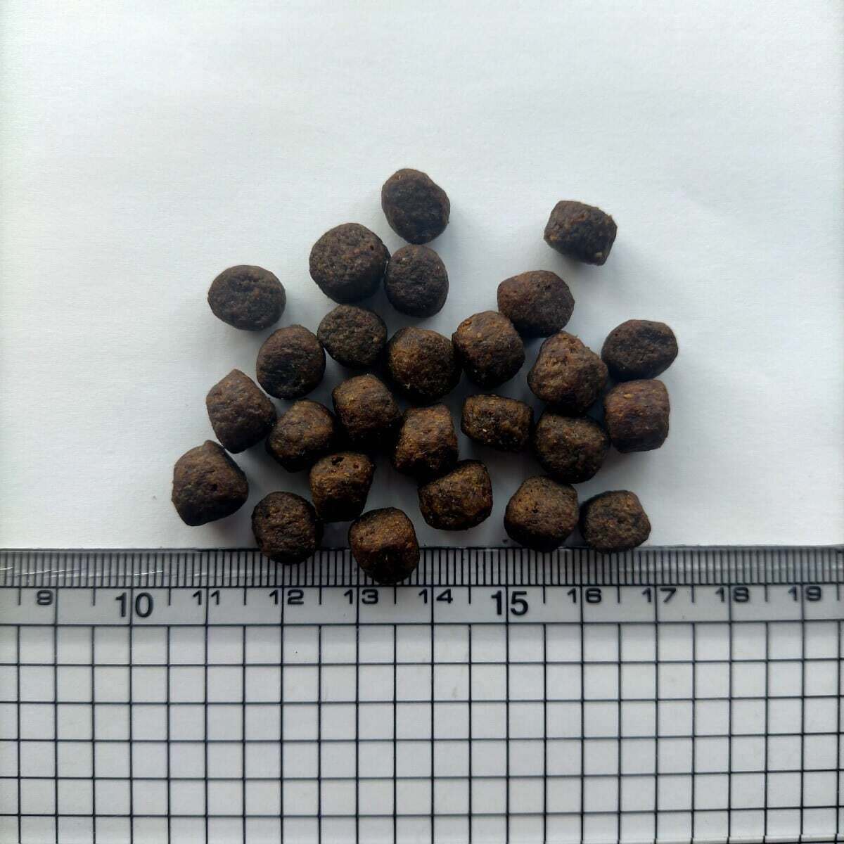 【12/26(金) 発送予定】 ベーシック 12kg