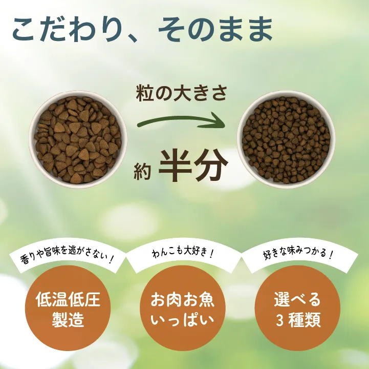 products logo