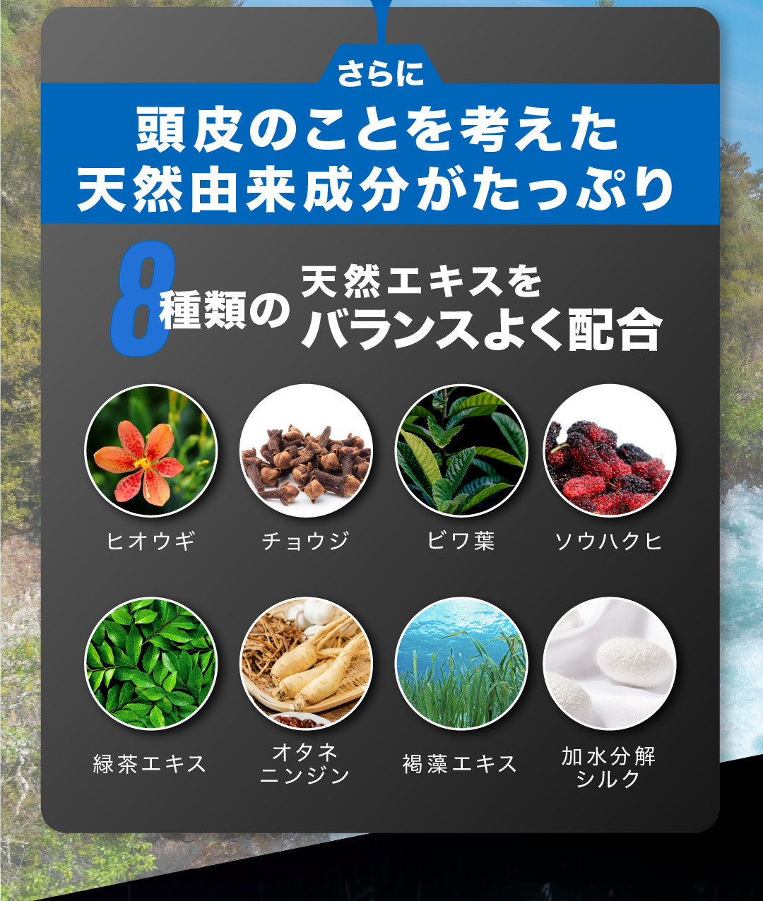 天然エキスをバランスよく配合
