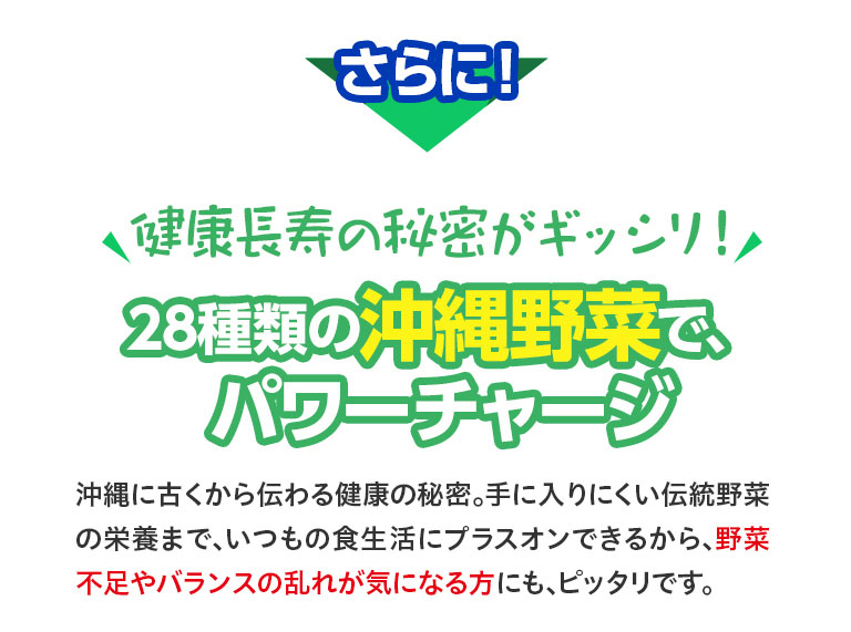更に！健康長寿の秘密がぎっしり！28種類の沖縄野菜で、パワーチャージ