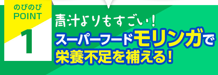 青汁よりもすごい！スーパーフードモリンガで栄養不足を補える！