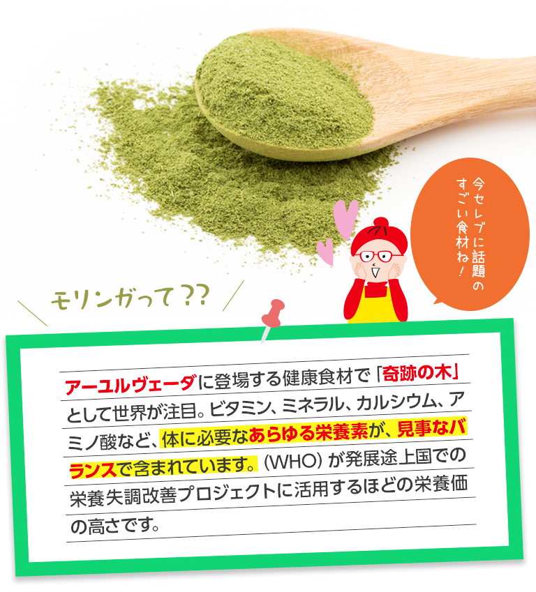 モリンガって？？