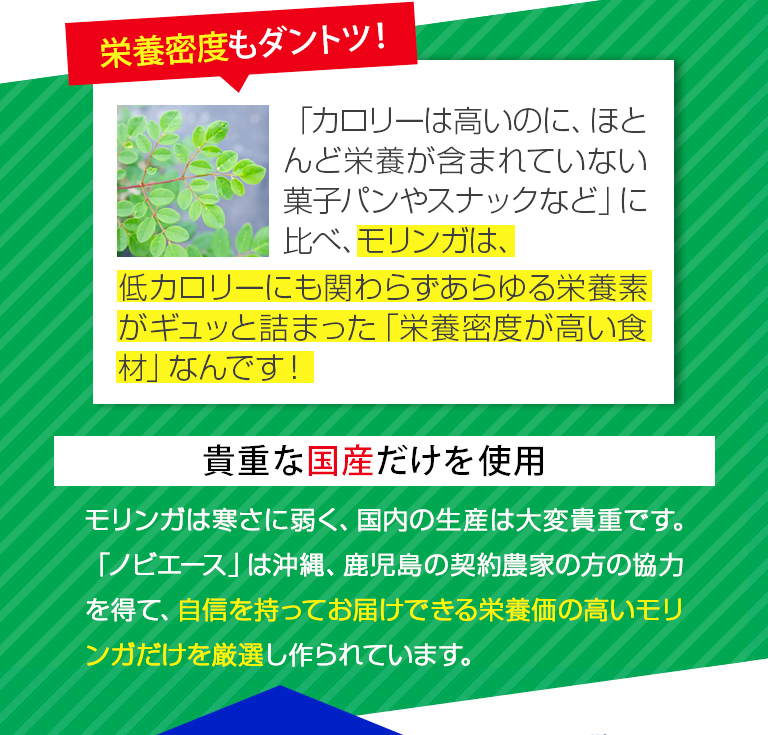 栄養密度もダントツ！