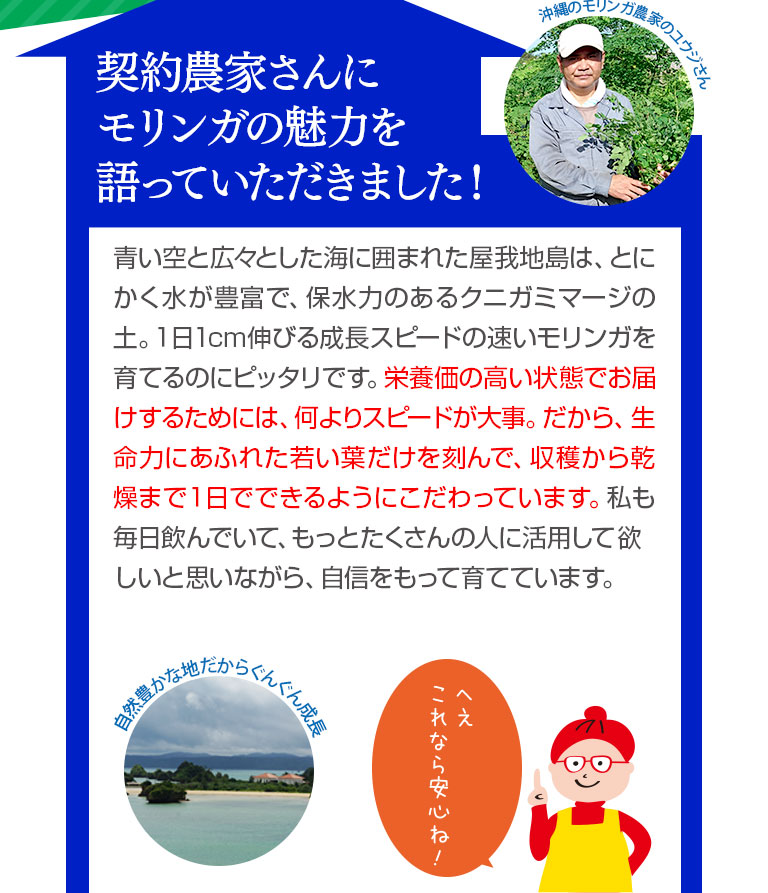 契約農家さんにモリンガの魅力を語っていただきました！