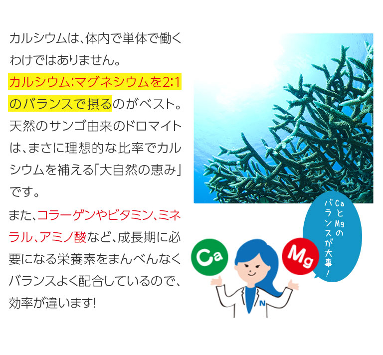 カルシウムは、体内で単体で働くわけではありません。骨を作るには、カルシウム：マグネシウムを2：1のバランスで撮るのがベスト。