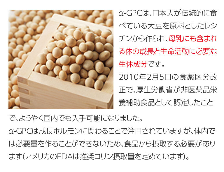 α-GPCは、日本人がでんt脳的に食べている大豆を原料としたレシチンから作られ、母乳にも含まれる体の成長と生命活動に必要な生体成分です。