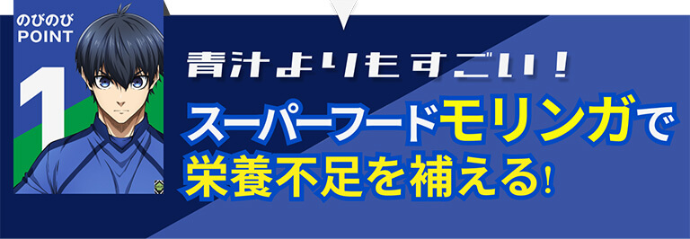 青汁よりもすごい！スーパーフードモリンガで栄養不足を補える！