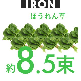 鉄 ほうれん草 約8.5束分