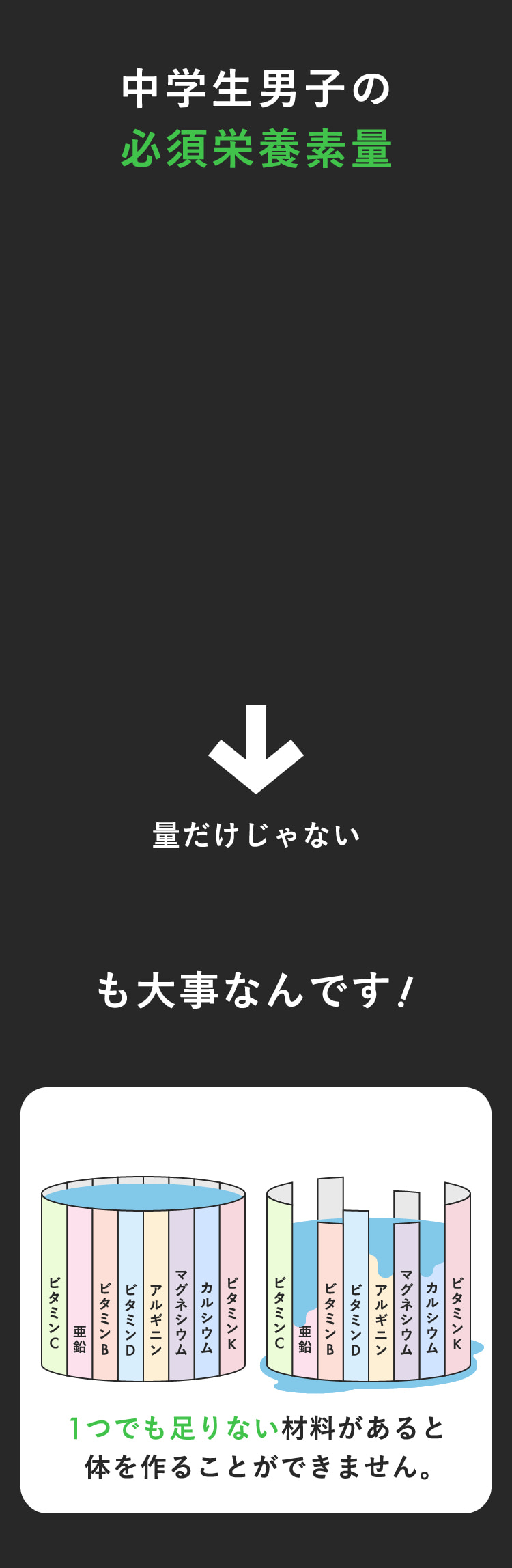 中学生男子の必須栄養素量